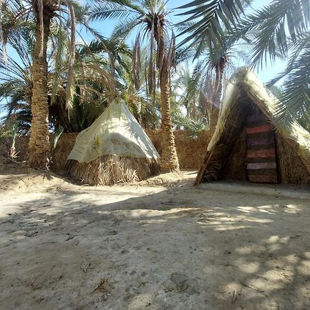 Forest Camp Siwa - كامب الغابة Siwa Oasis Eksteriør bilde