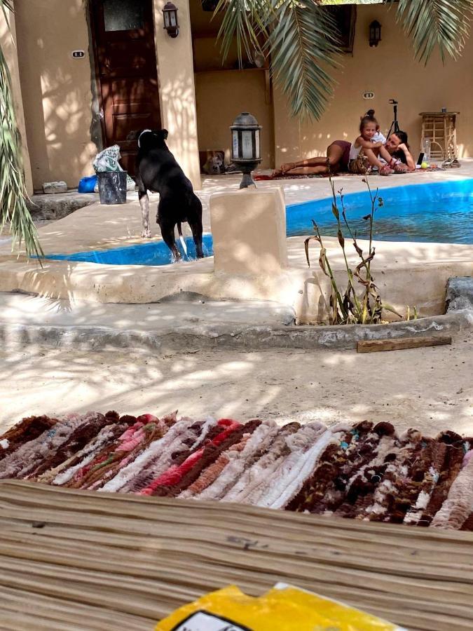 Forest Camp Siwa - كامب الغابة Siwa Oasis Eksteriør bilde