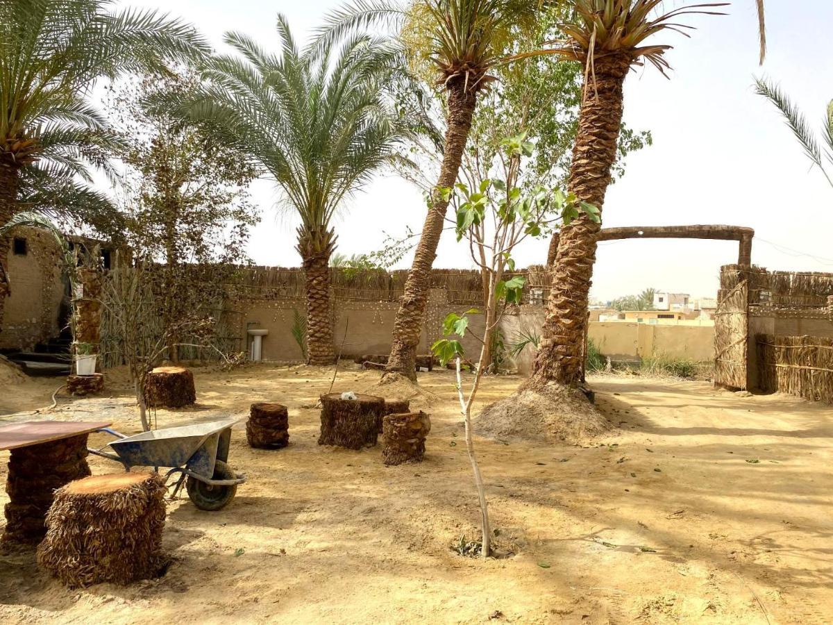 Forest Camp Siwa - كامب الغابة Siwa Oasis Eksteriør bilde