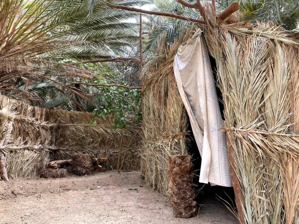 Forest Camp Siwa - كامب الغابة Siwa Oasis Eksteriør bilde