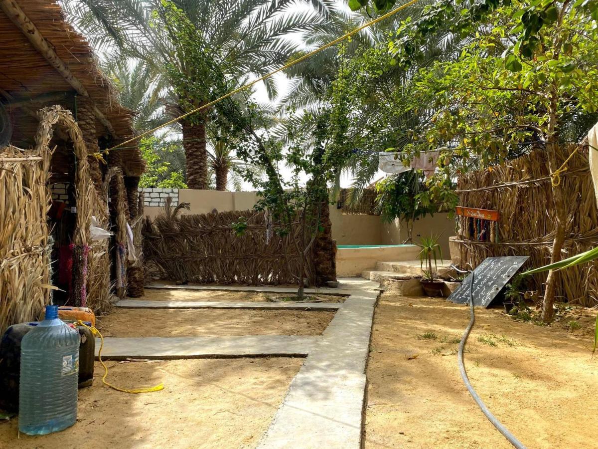 Forest Camp Siwa - كامب الغابة Siwa Oasis Eksteriør bilde