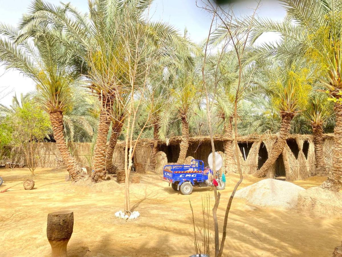 Forest Camp Siwa - كامب الغابة Siwa Oasis Eksteriør bilde
