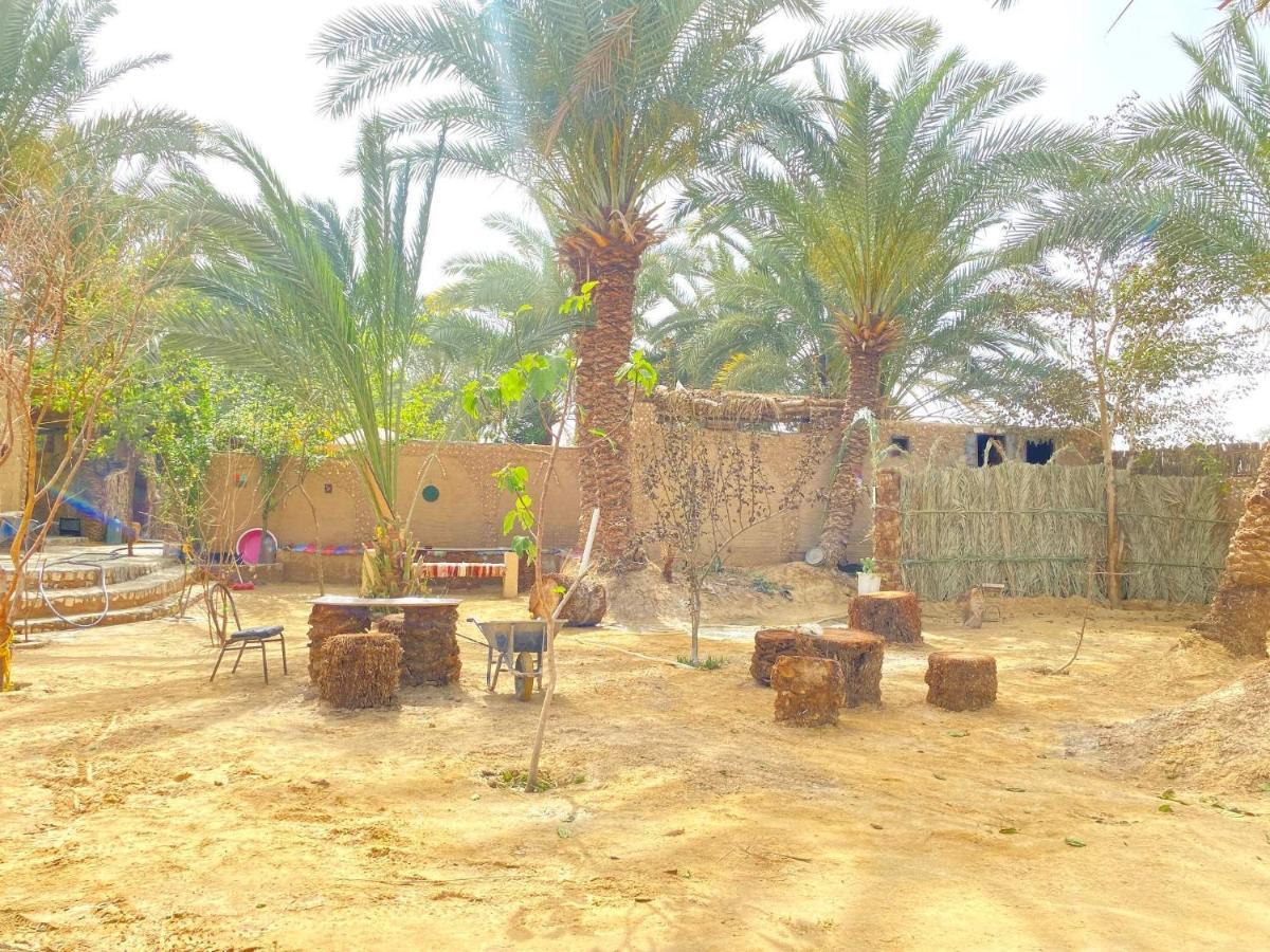 Forest Camp Siwa - كامب الغابة Siwa Oasis Eksteriør bilde