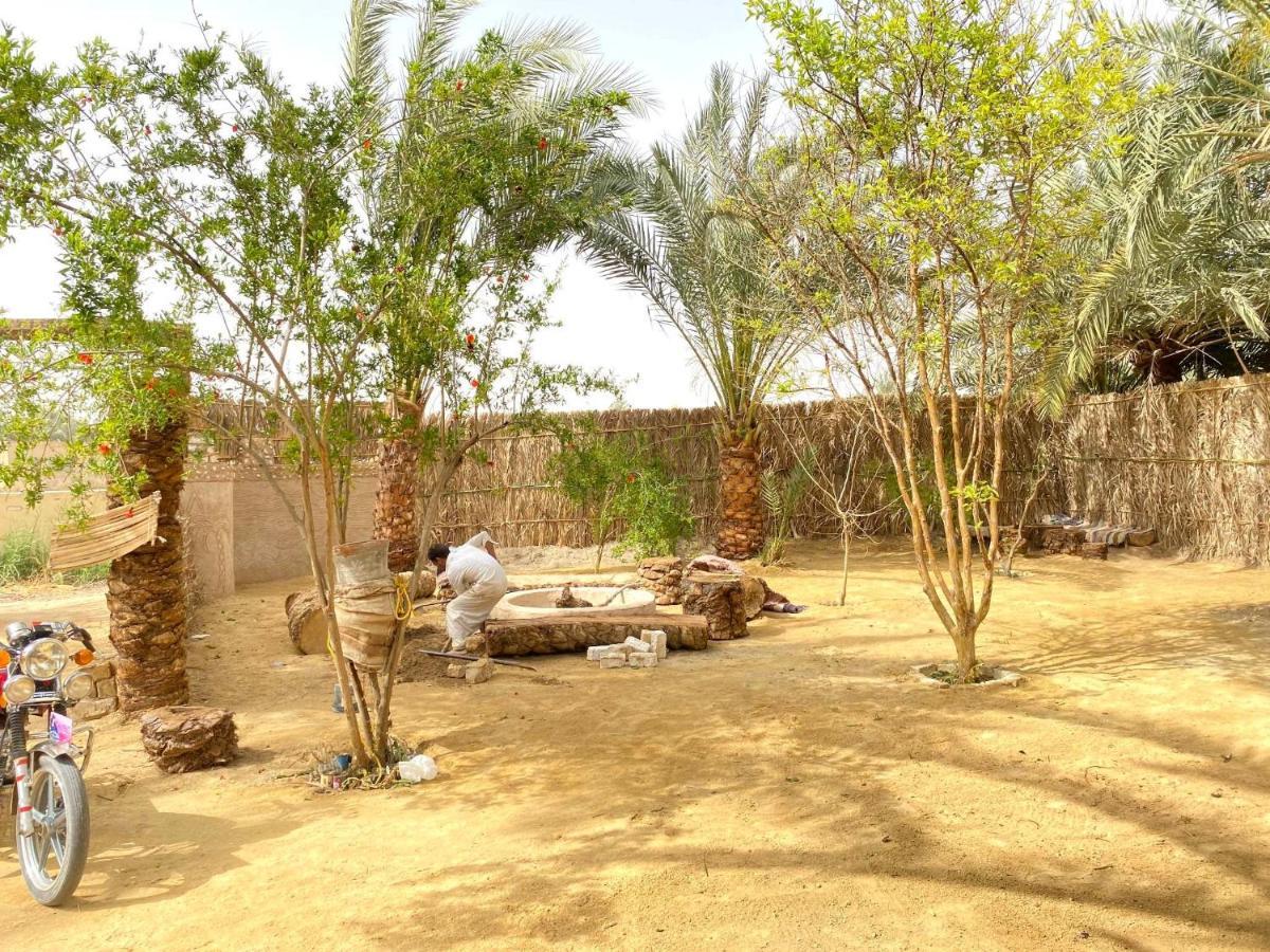 Forest Camp Siwa - كامب الغابة Siwa Oasis Eksteriør bilde
