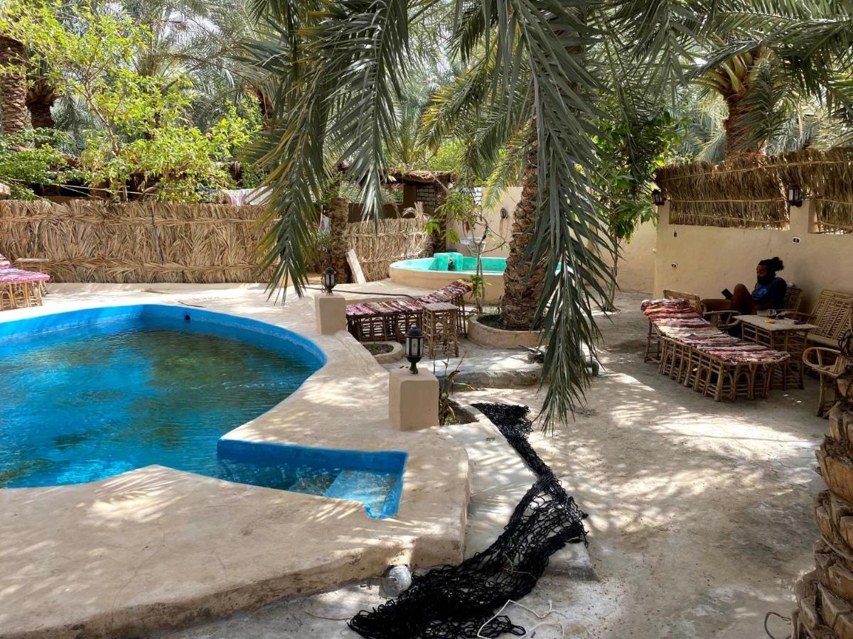 Forest Camp Siwa - كامب الغابة Siwa Oasis Eksteriør bilde
