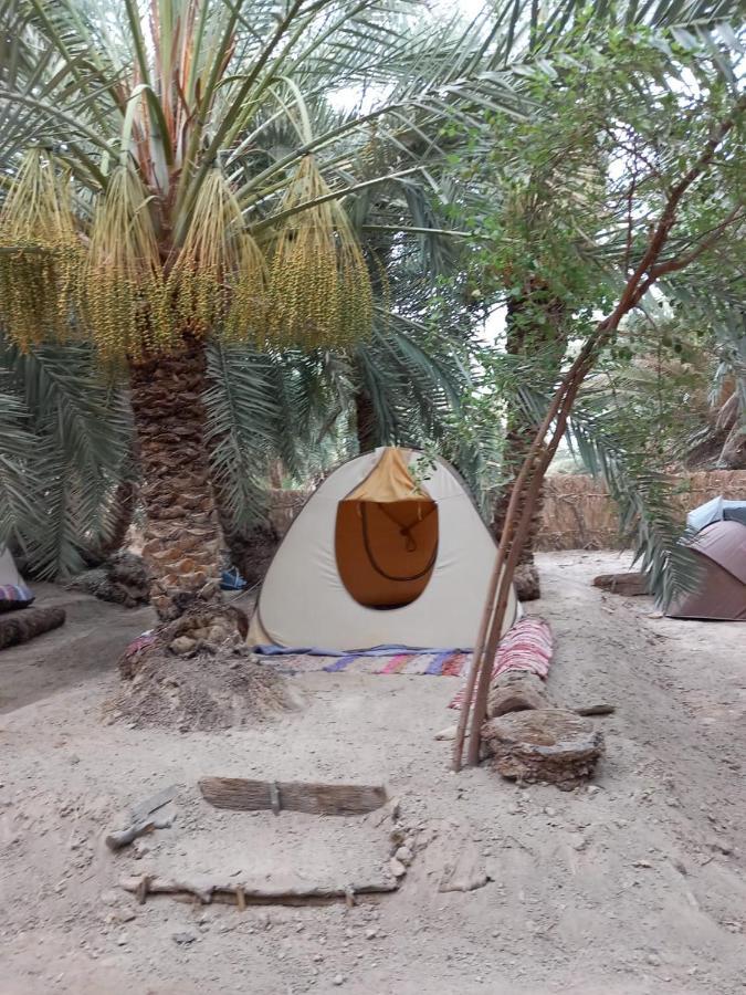 Forest Camp Siwa - كامب الغابة Siwa Oasis Eksteriør bilde