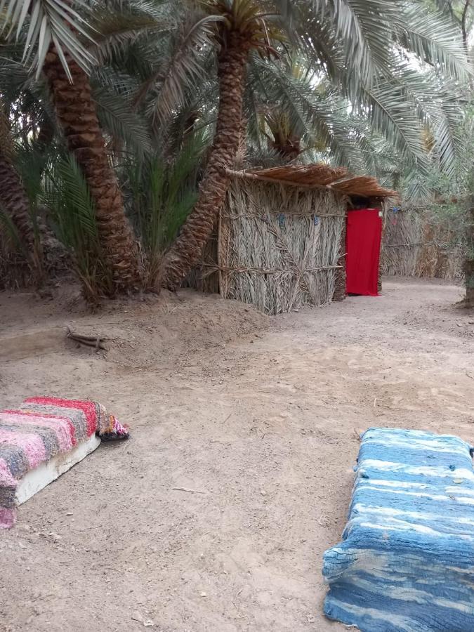 Forest Camp Siwa - كامب الغابة Siwa Oasis Eksteriør bilde