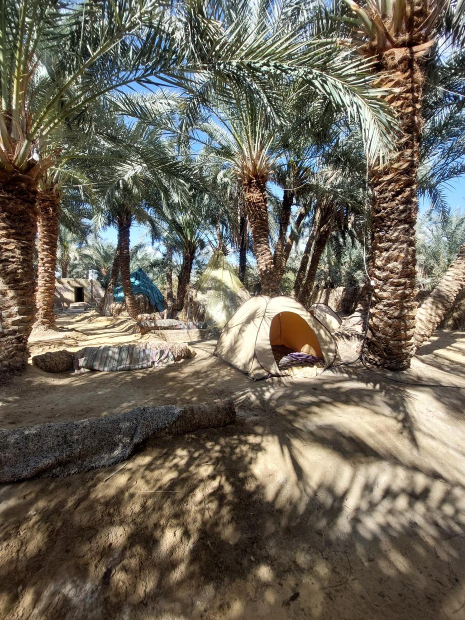 Forest Camp Siwa - كامب الغابة Siwa Oasis Eksteriør bilde