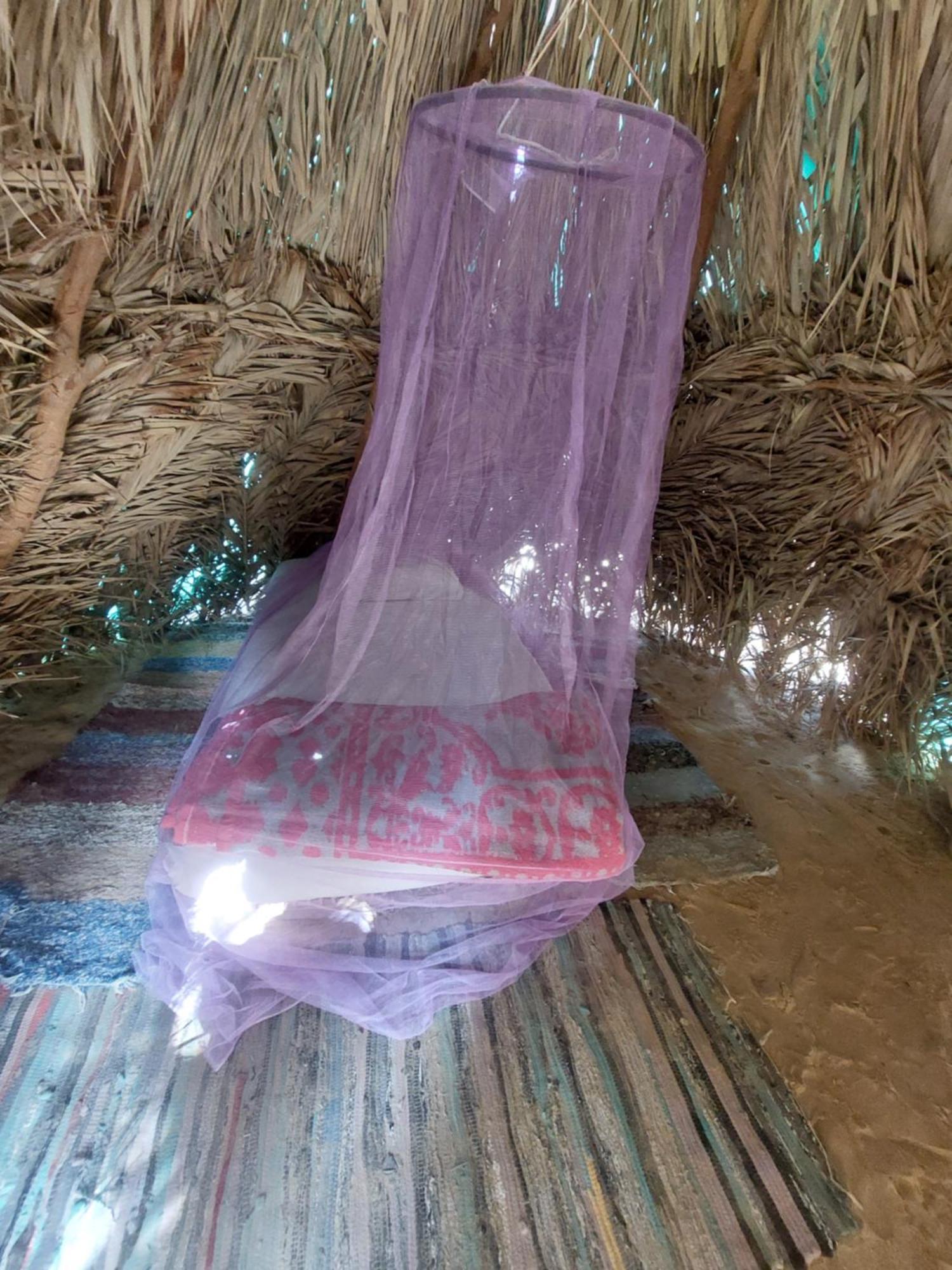 Forest Camp Siwa - كامب الغابة Siwa Oasis Eksteriør bilde