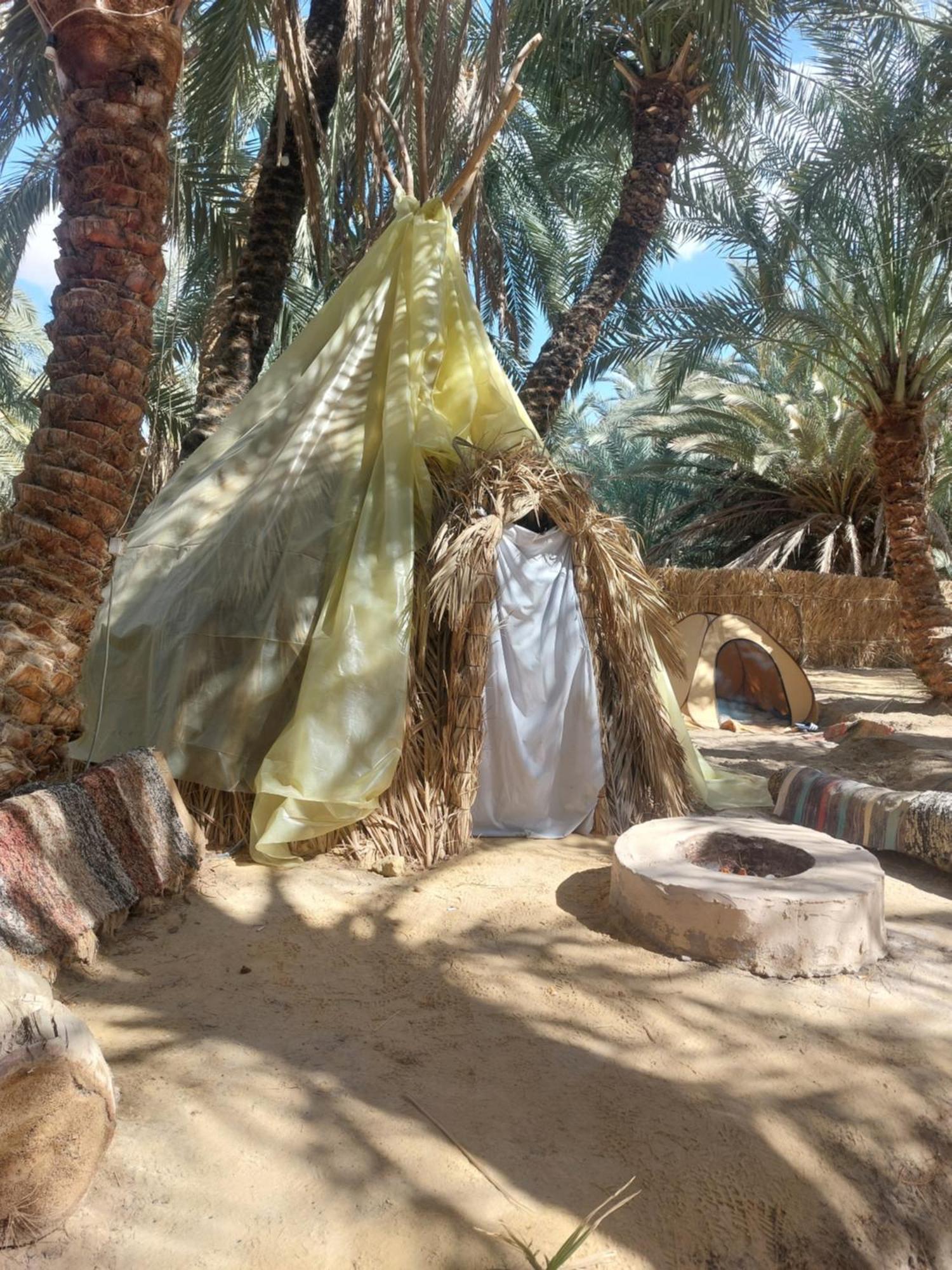 Forest Camp Siwa - كامب الغابة Siwa Oasis Eksteriør bilde