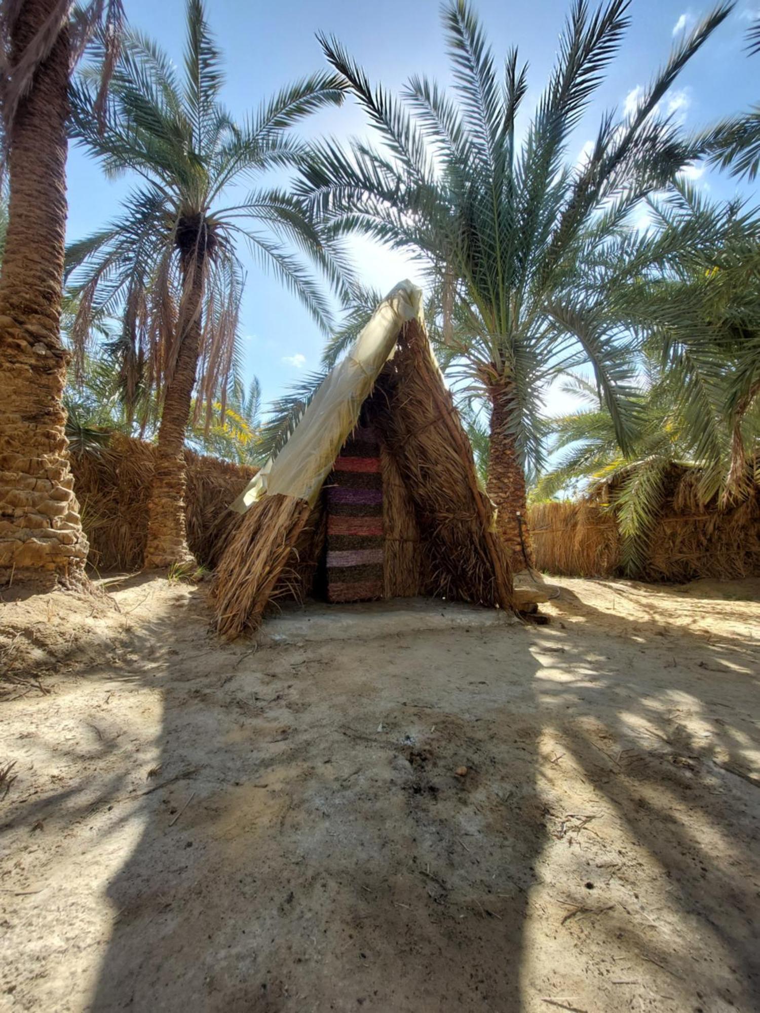Forest Camp Siwa - كامب الغابة Siwa Oasis Eksteriør bilde