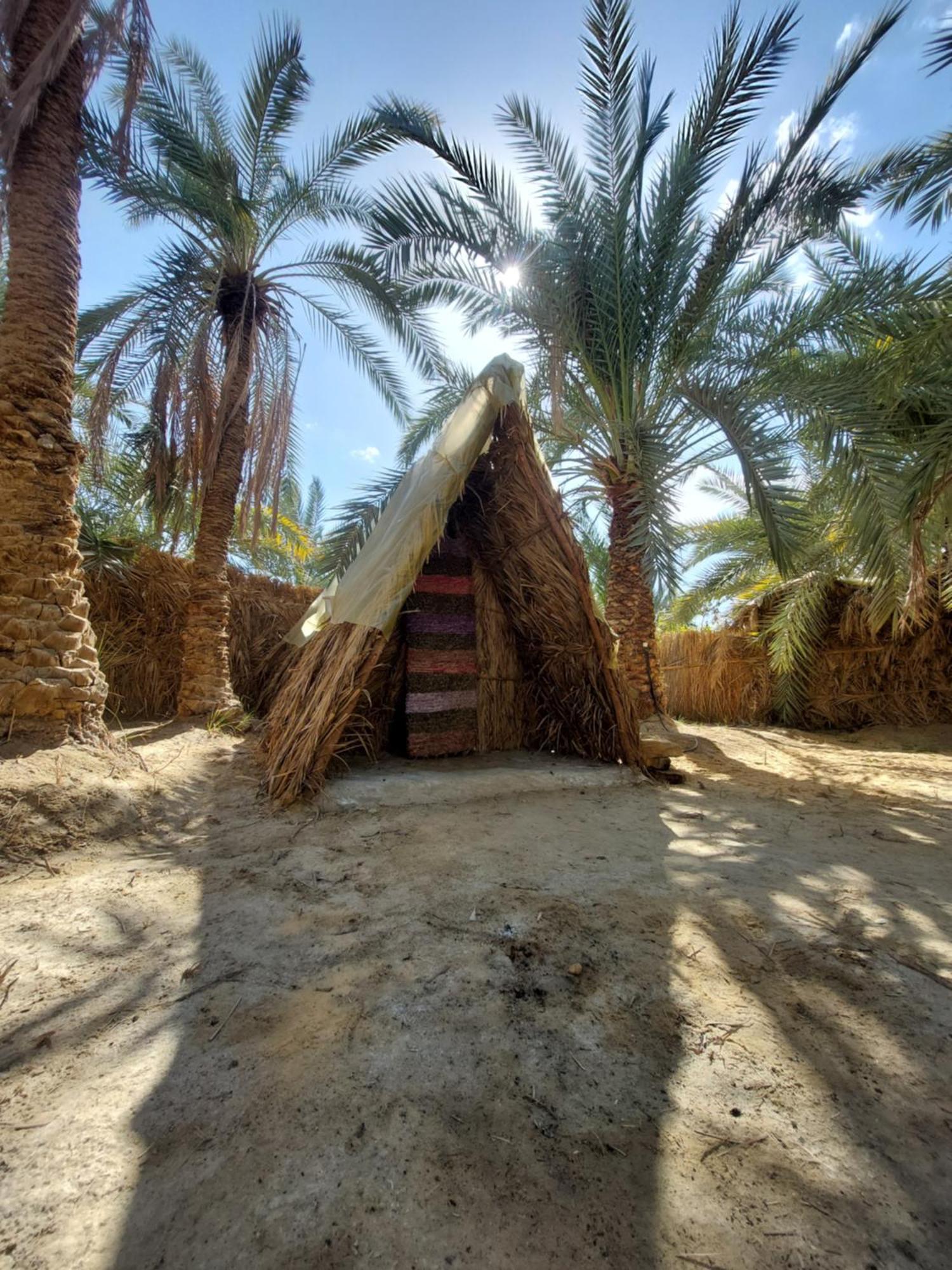 Forest Camp Siwa - كامب الغابة Siwa Oasis Eksteriør bilde