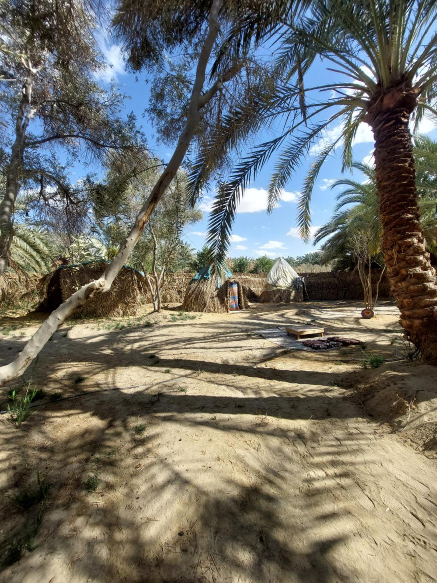 Forest Camp Siwa - كامب الغابة Siwa Oasis Eksteriør bilde