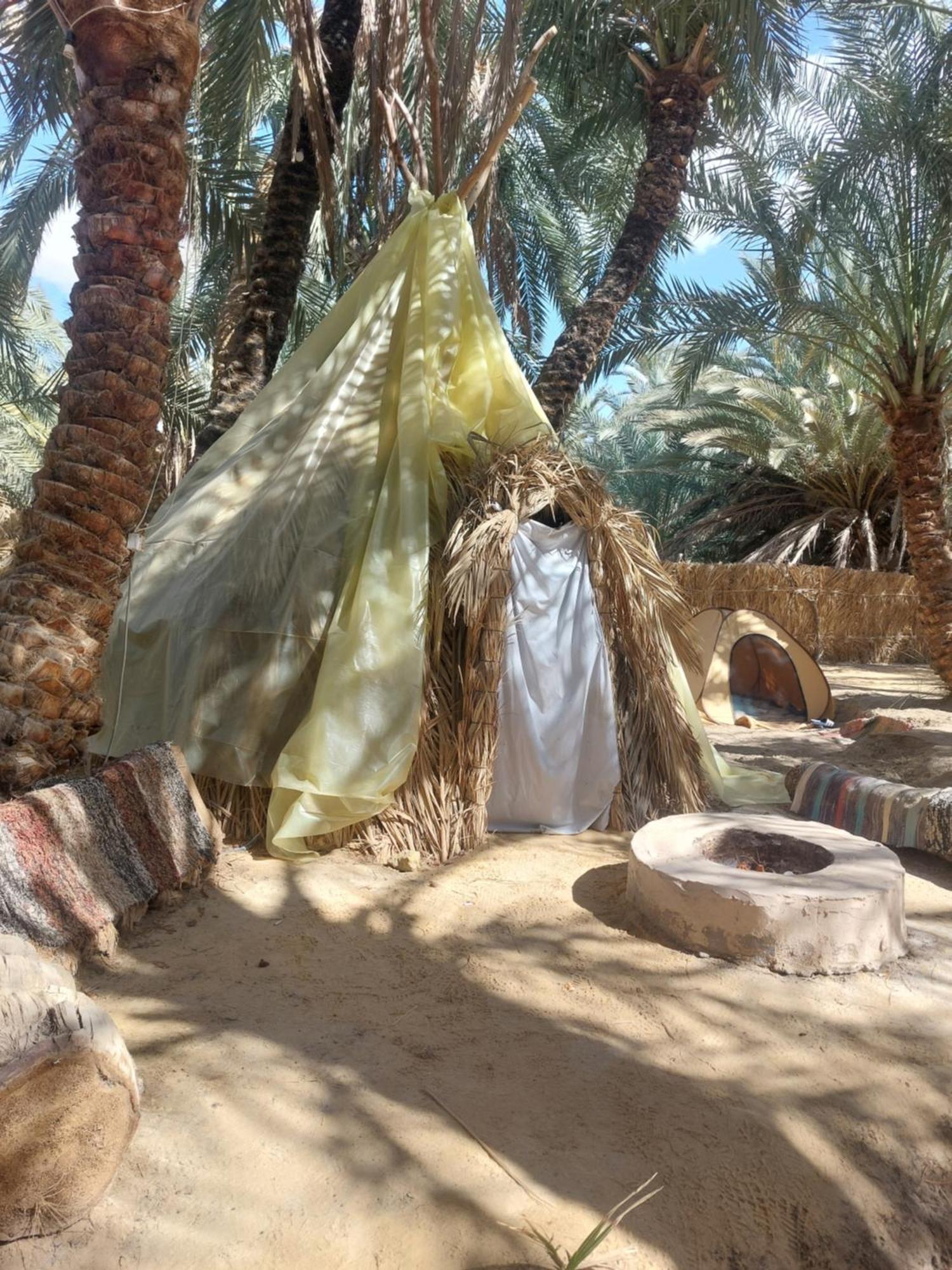 Forest Camp Siwa - كامب الغابة Siwa Oasis Eksteriør bilde