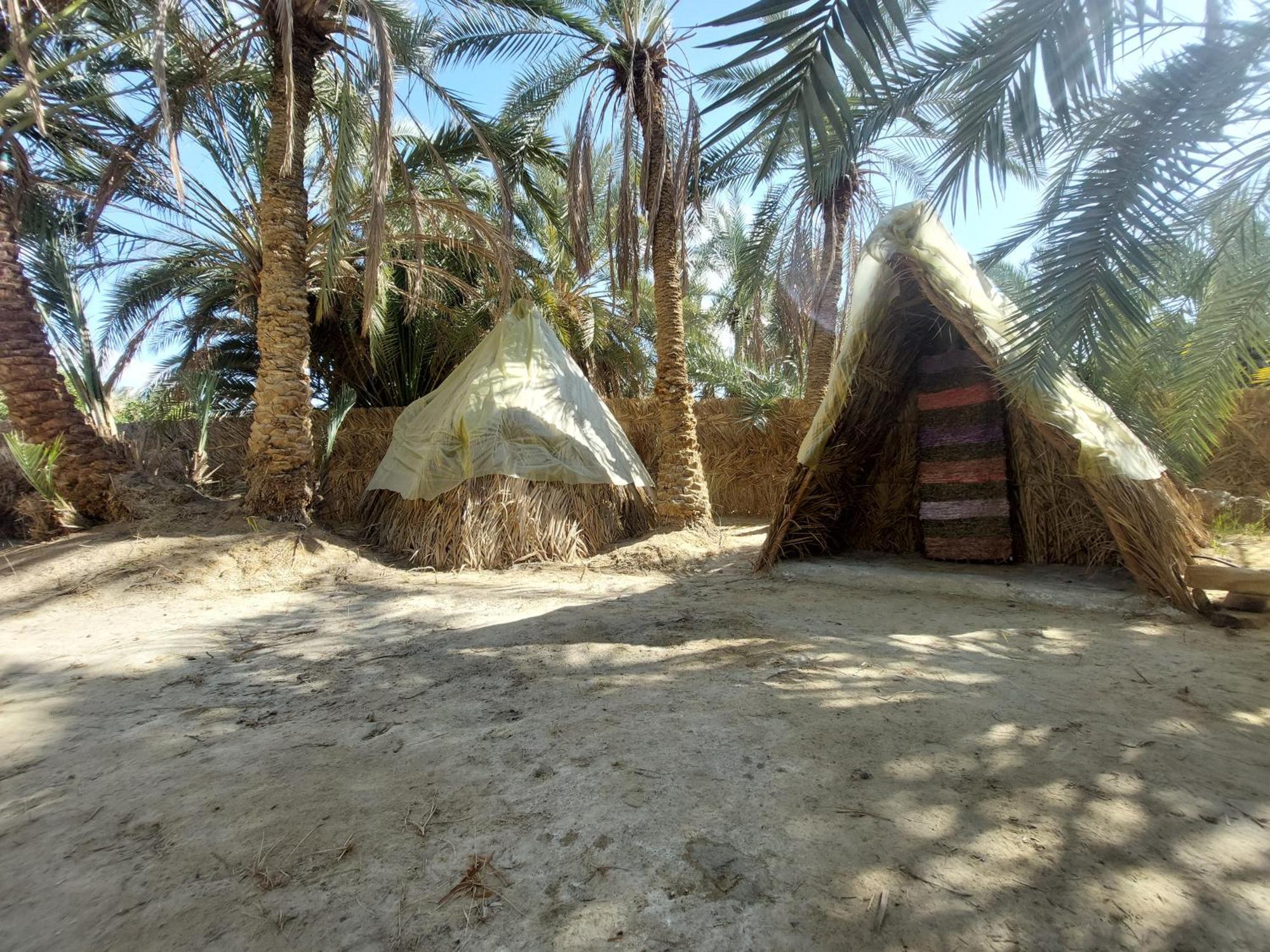 Forest Camp Siwa - كامب الغابة Siwa Oasis Eksteriør bilde