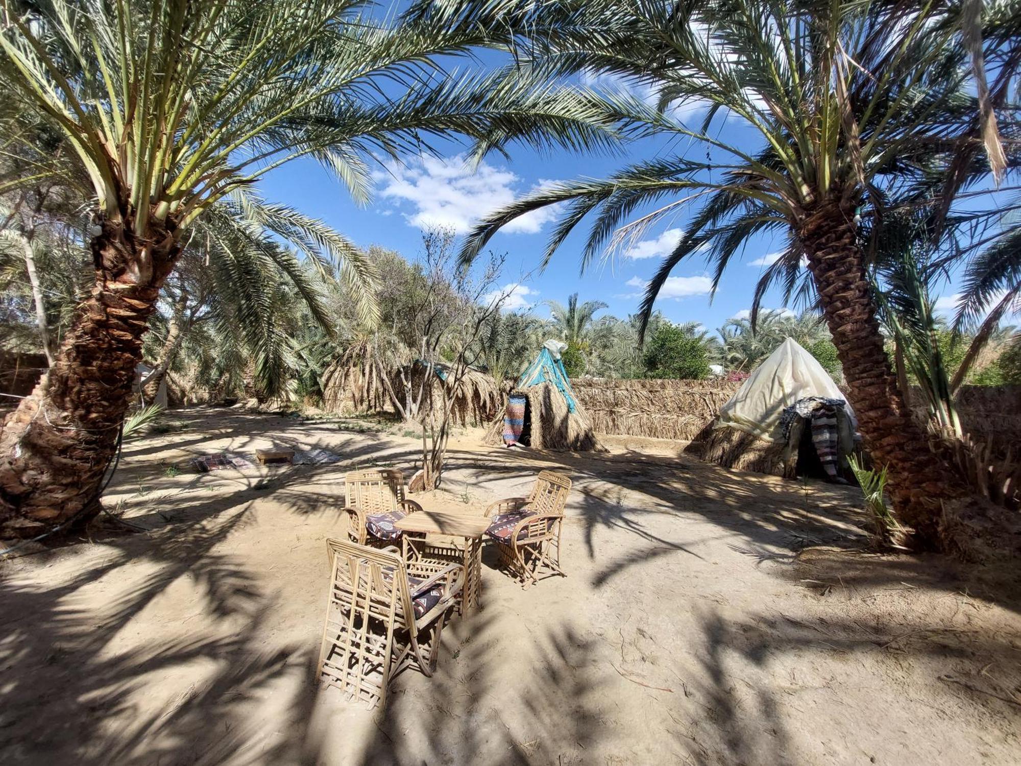 Forest Camp Siwa - كامب الغابة Siwa Oasis Eksteriør bilde