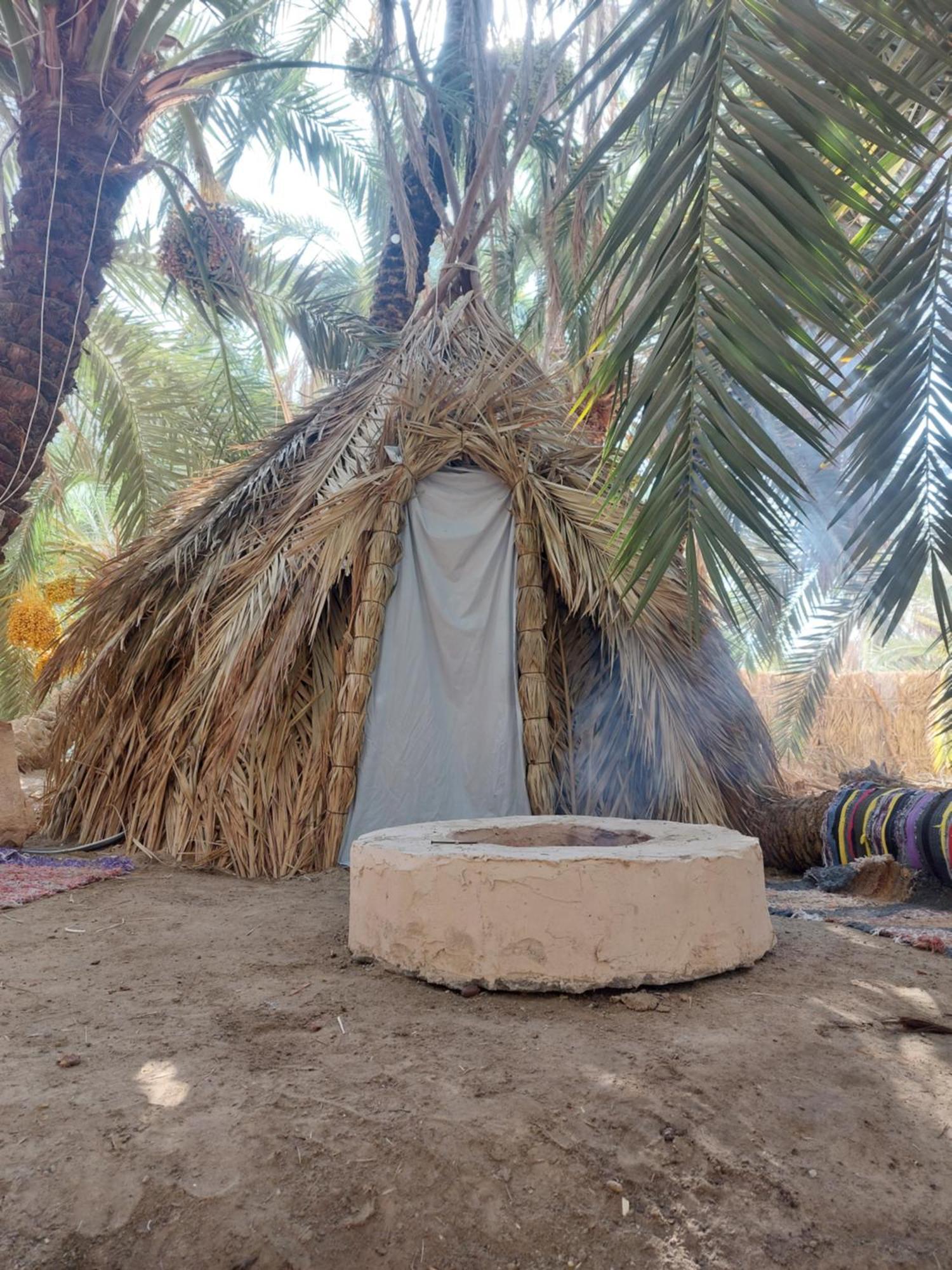 Forest Camp Siwa - كامب الغابة Siwa Oasis Eksteriør bilde