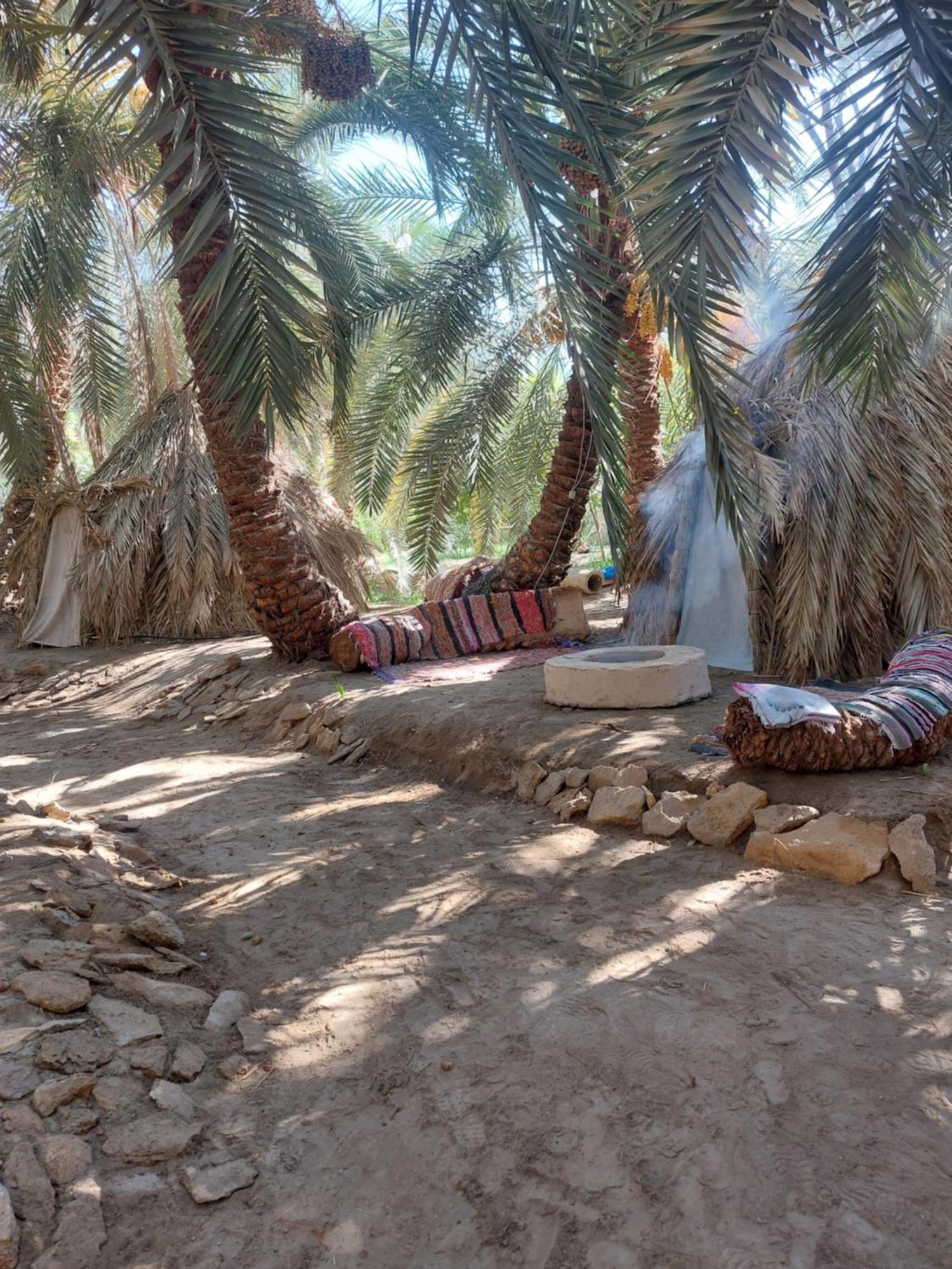 Forest Camp Siwa - كامب الغابة Siwa Oasis Eksteriør bilde