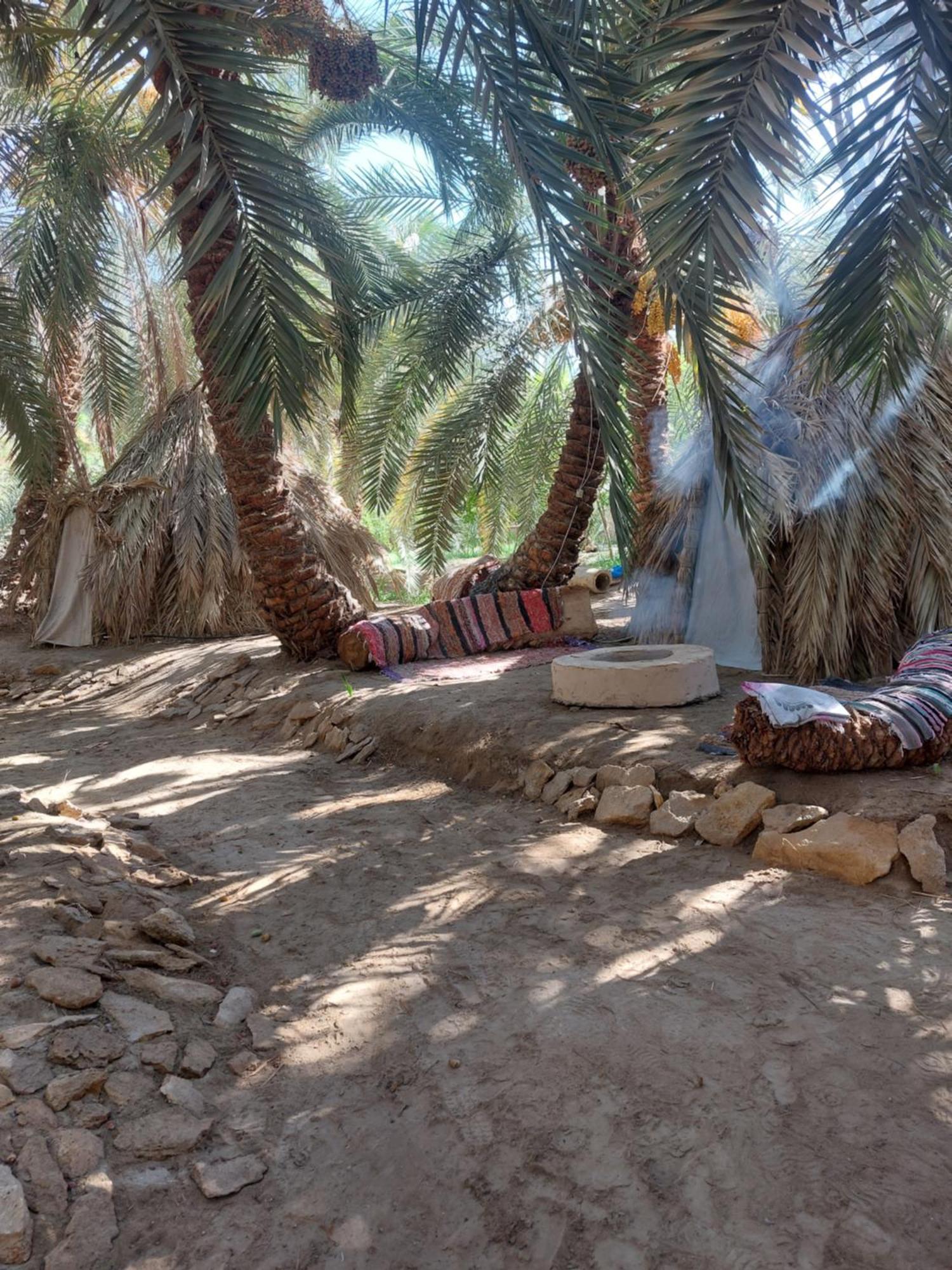Forest Camp Siwa - كامب الغابة Siwa Oasis Eksteriør bilde