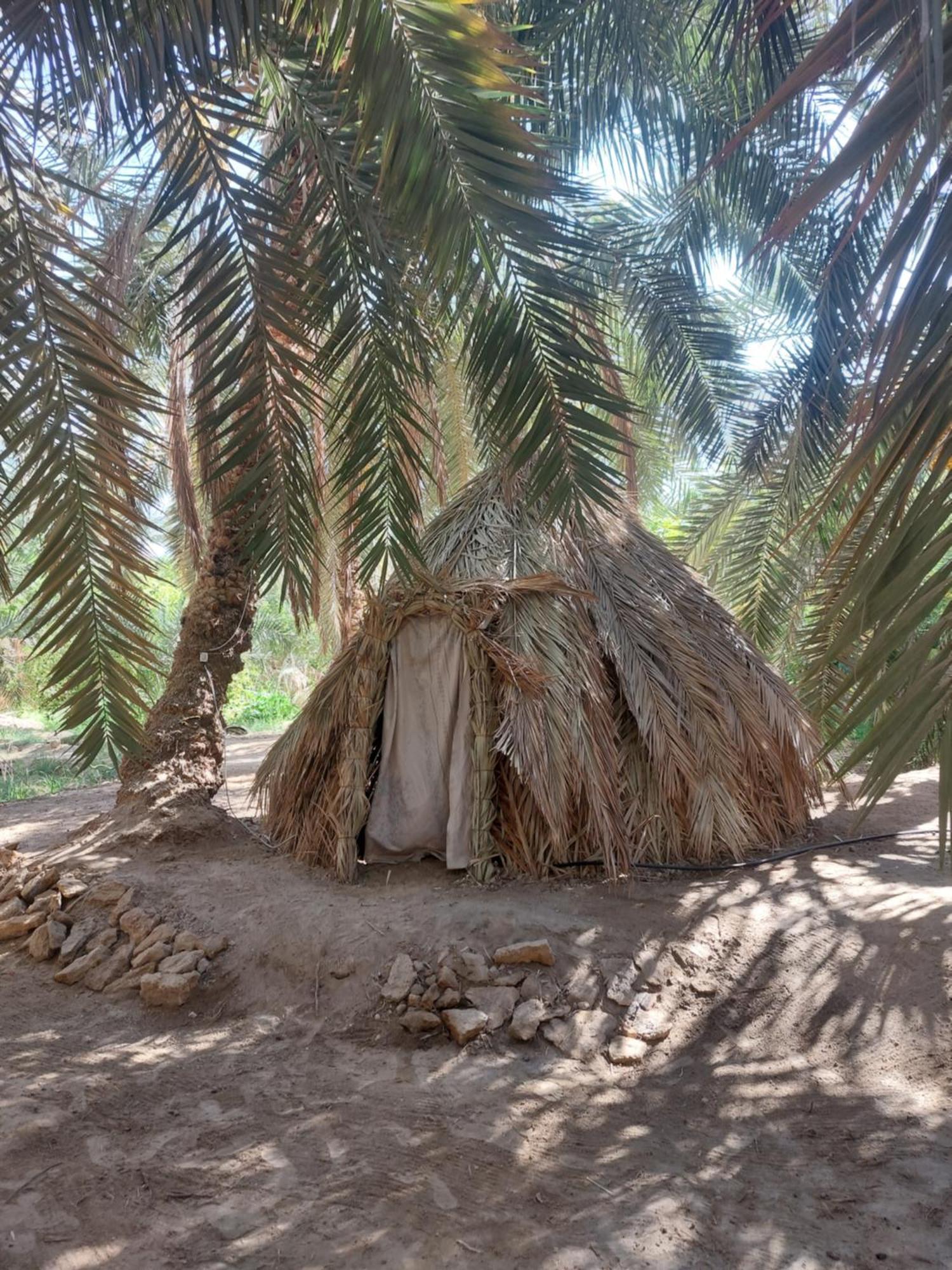 Forest Camp Siwa - كامب الغابة Siwa Oasis Eksteriør bilde