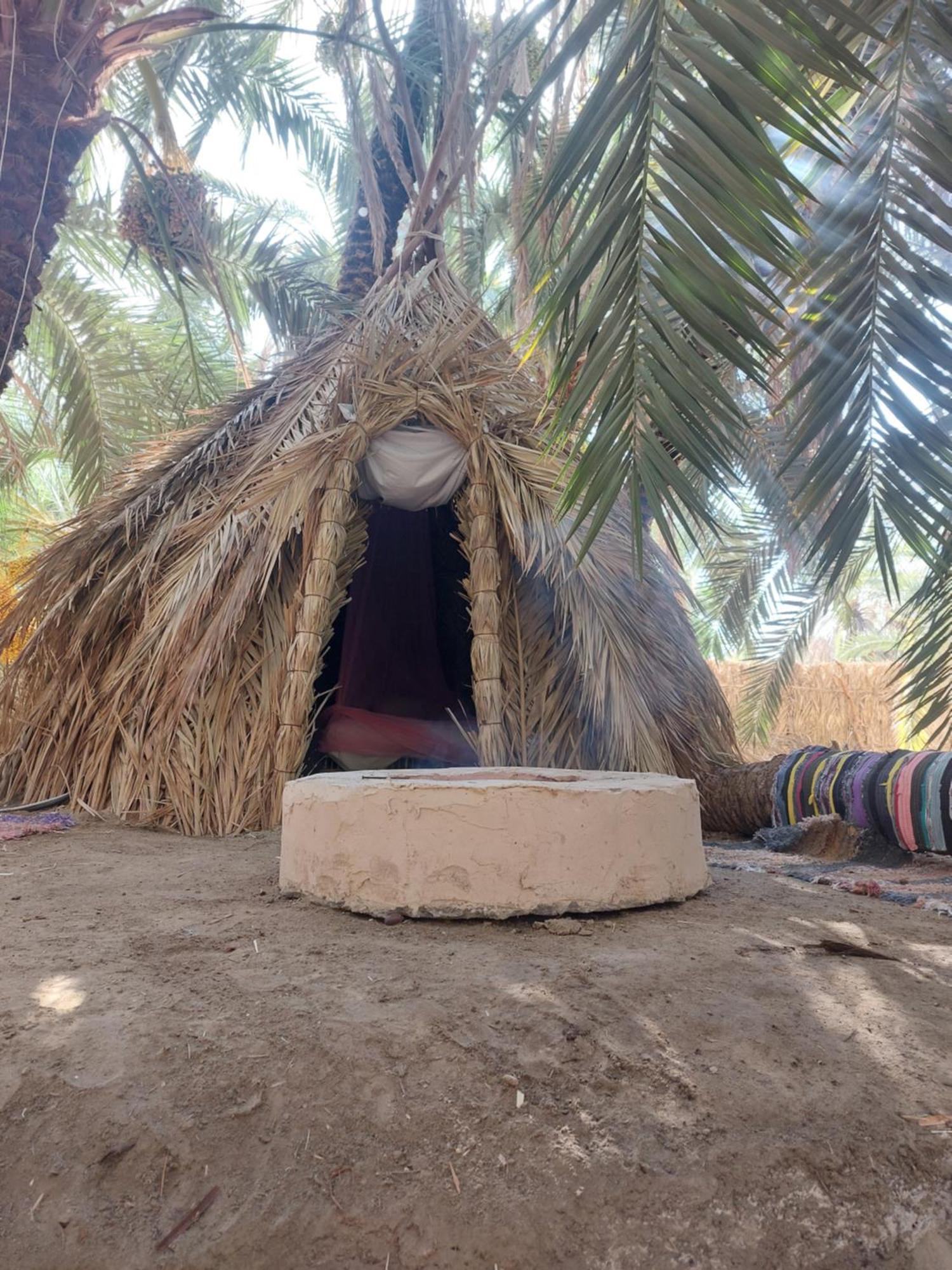 Forest Camp Siwa - كامب الغابة Siwa Oasis Eksteriør bilde