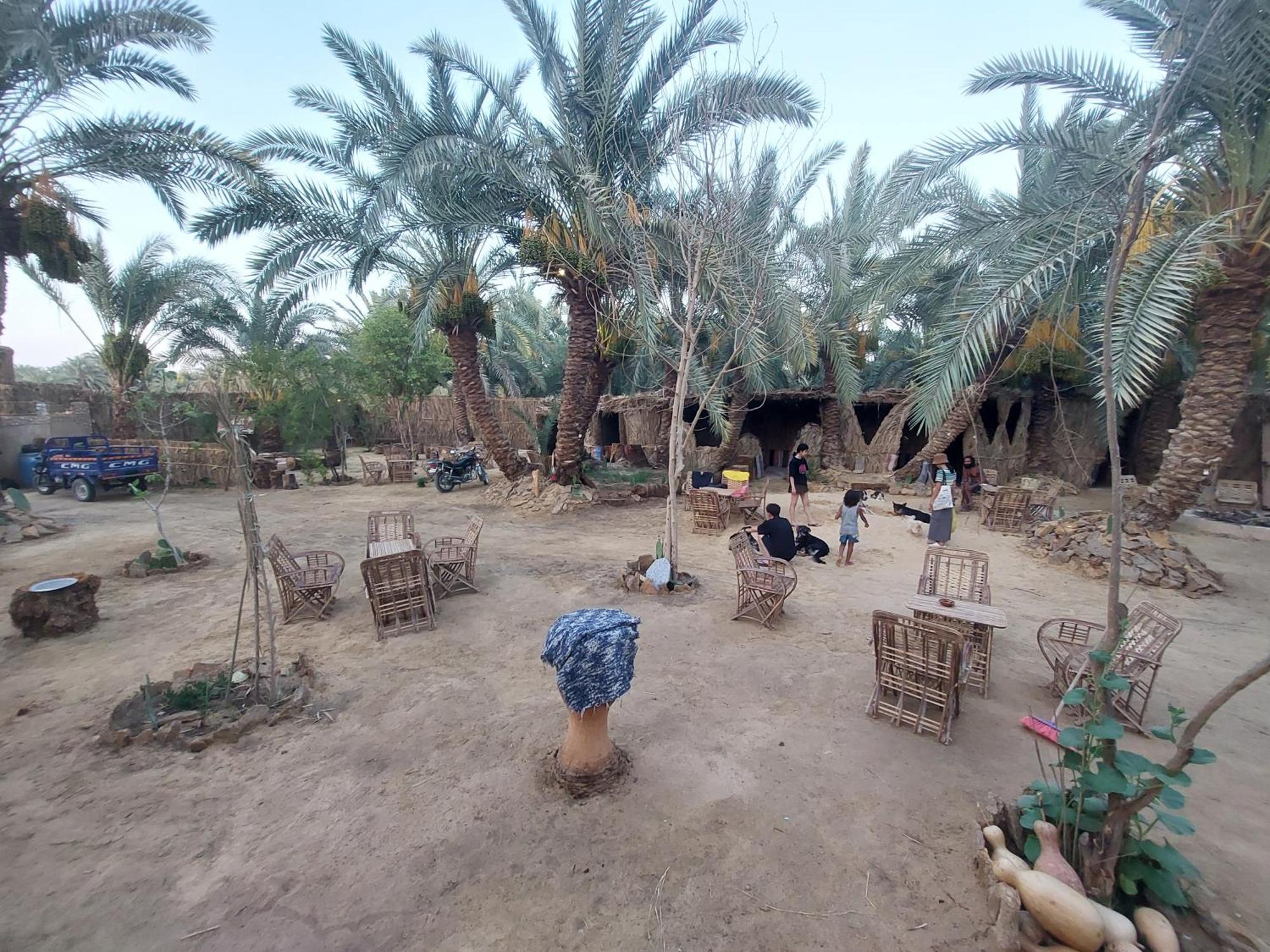 Forest Camp Siwa - كامب الغابة Siwa Oasis Eksteriør bilde