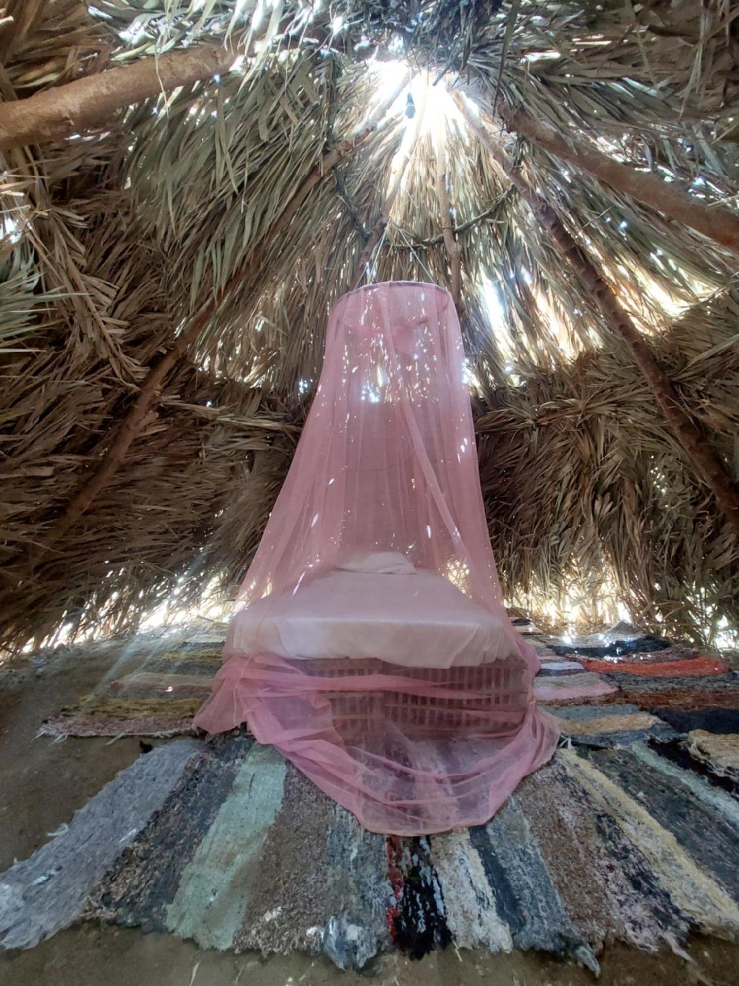 Forest Camp Siwa - كامب الغابة Siwa Oasis Eksteriør bilde