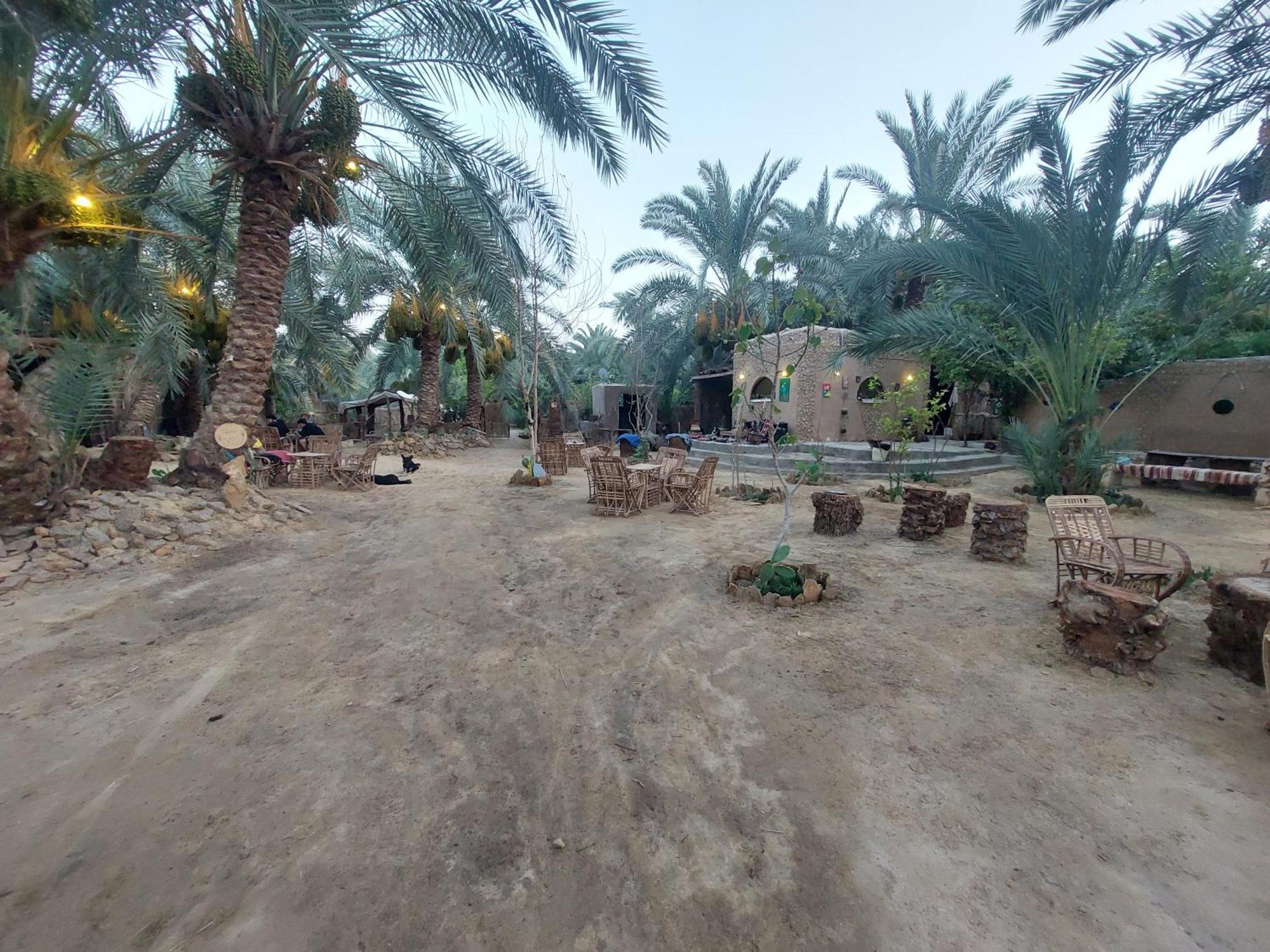 Forest Camp Siwa - كامب الغابة Siwa Oasis Eksteriør bilde