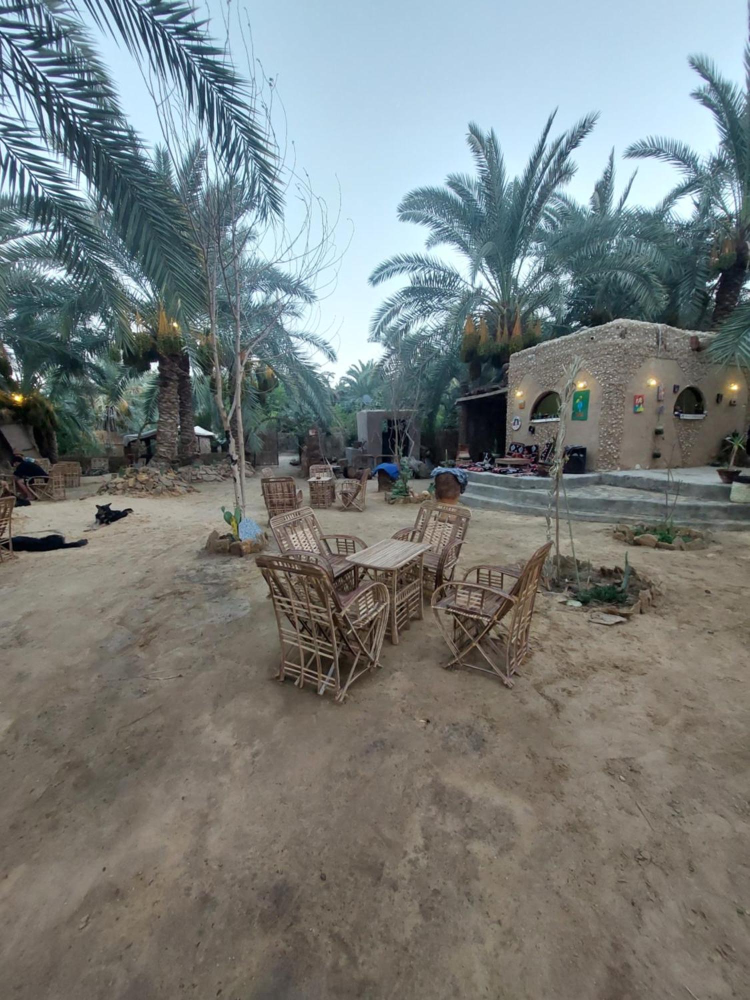 Forest Camp Siwa - كامب الغابة Siwa Oasis Eksteriør bilde