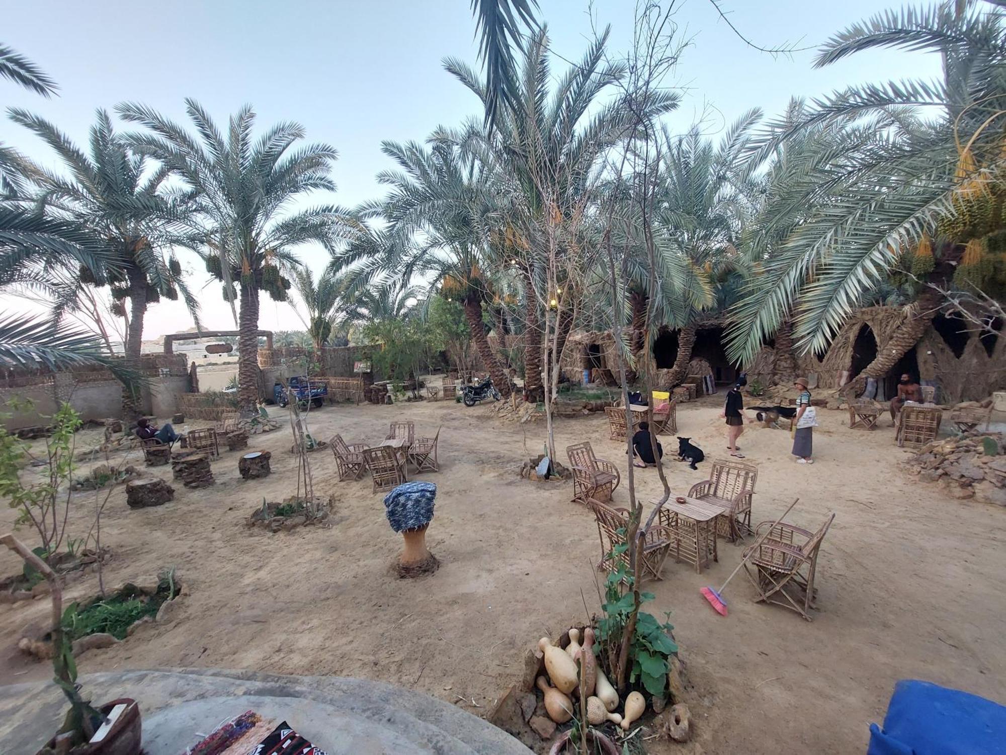 Forest Camp Siwa - كامب الغابة Siwa Oasis Eksteriør bilde