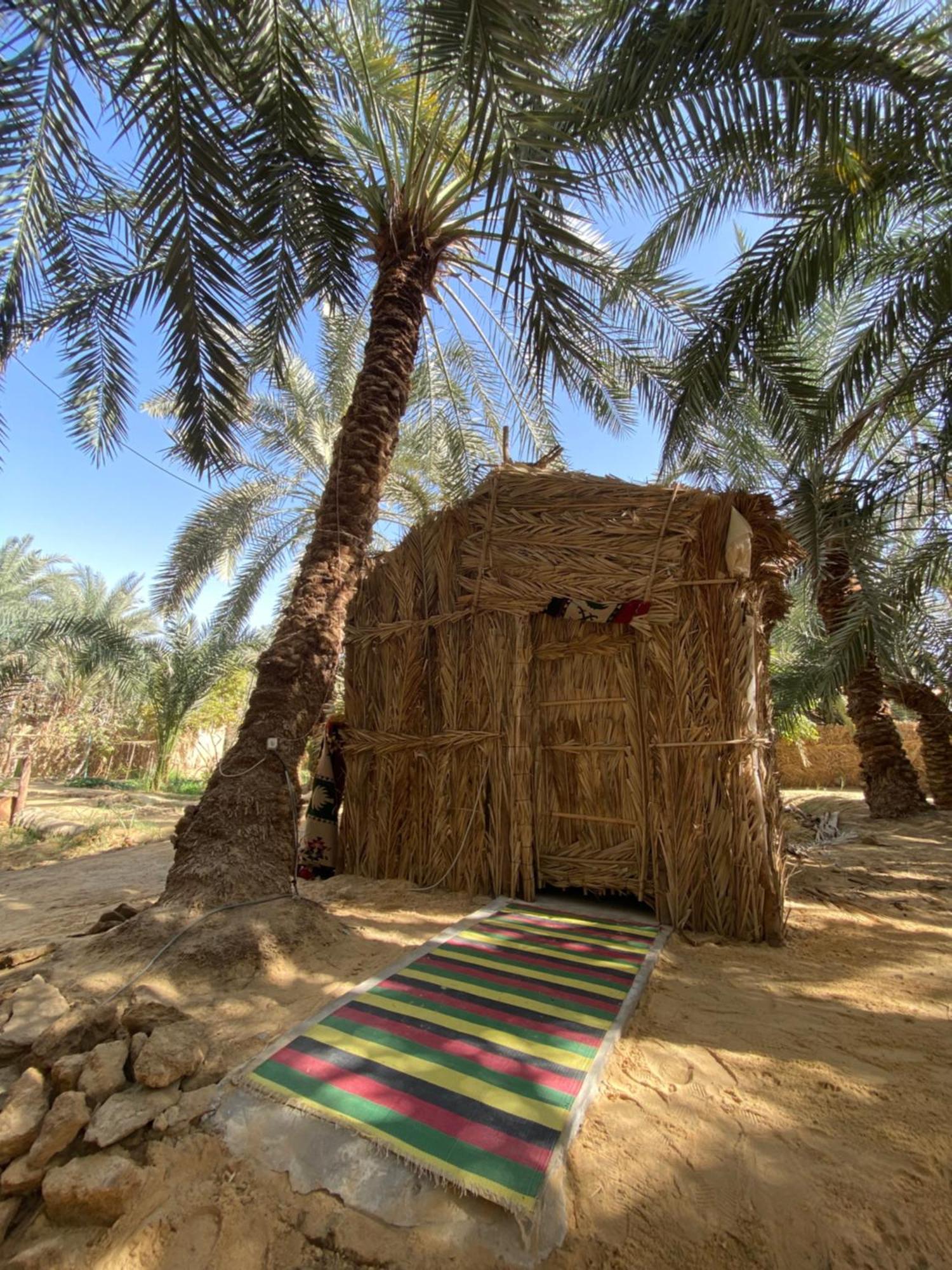 Forest Camp Siwa - كامب الغابة Siwa Oasis Eksteriør bilde
