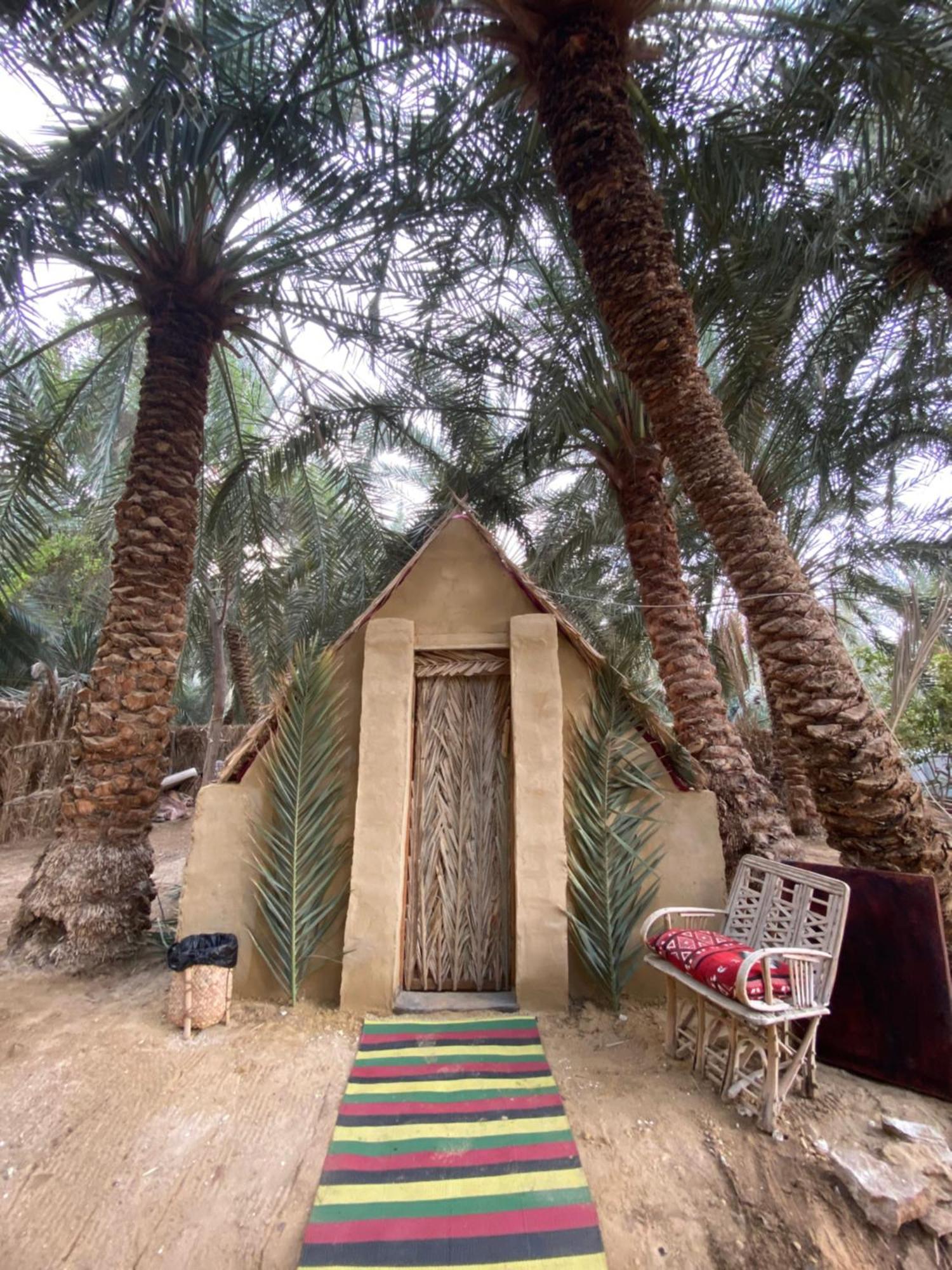 Forest Camp Siwa - كامب الغابة Siwa Oasis Eksteriør bilde