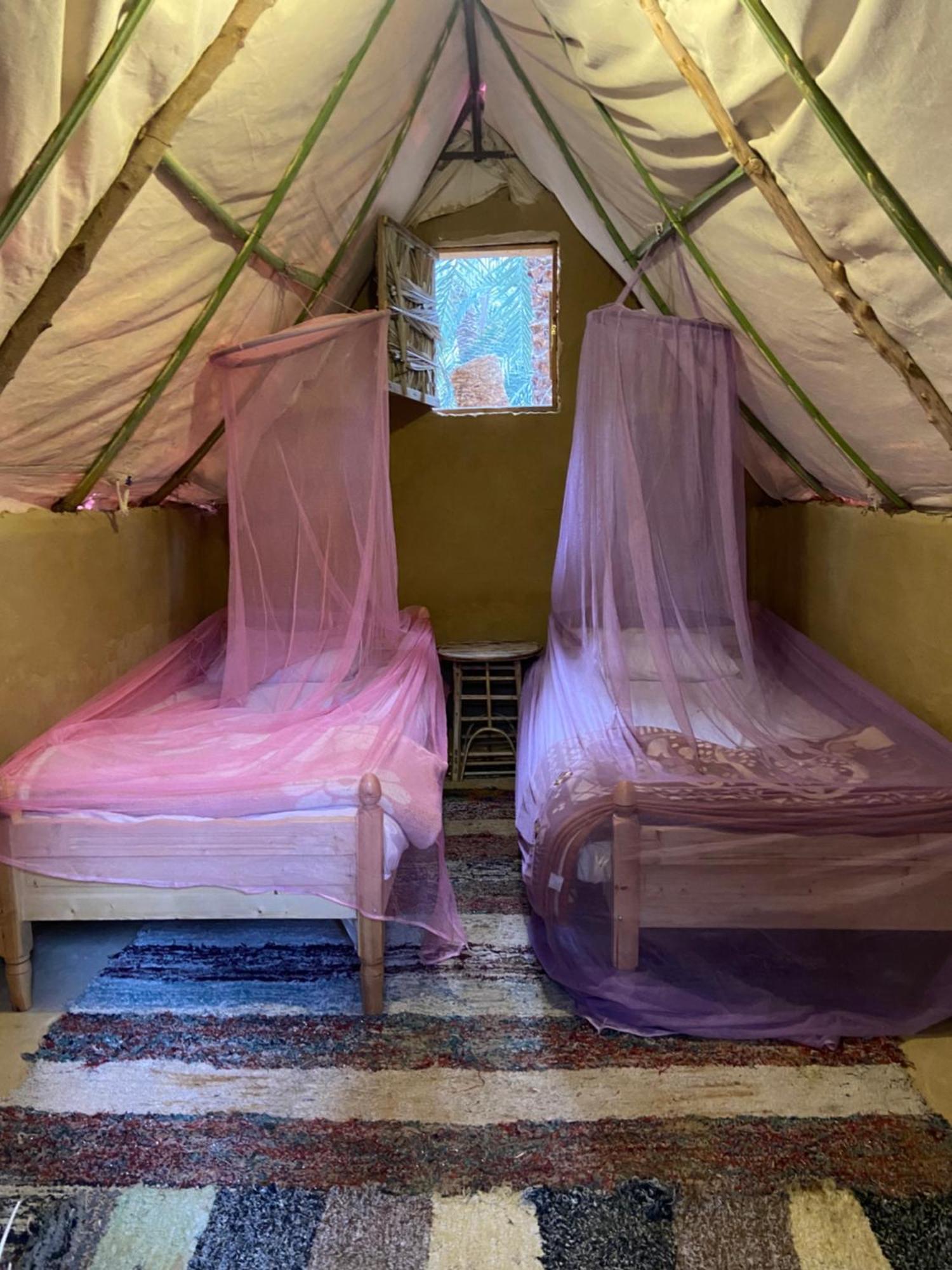 Forest Camp Siwa - كامب الغابة Siwa Oasis Eksteriør bilde