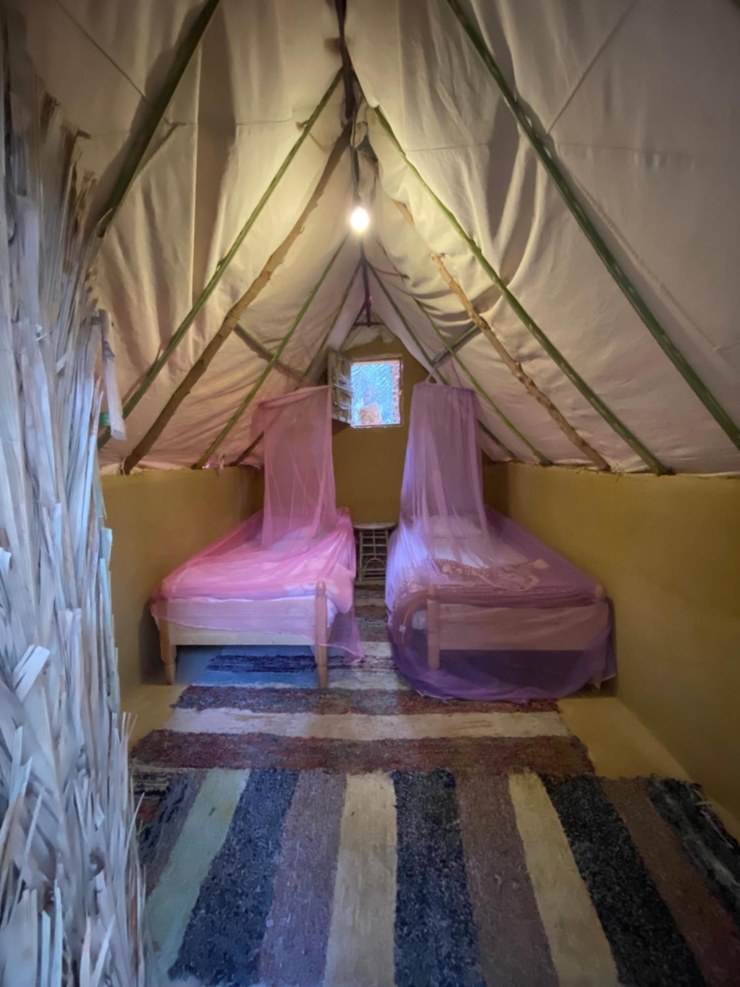 Forest Camp Siwa - كامب الغابة Siwa Oasis Eksteriør bilde