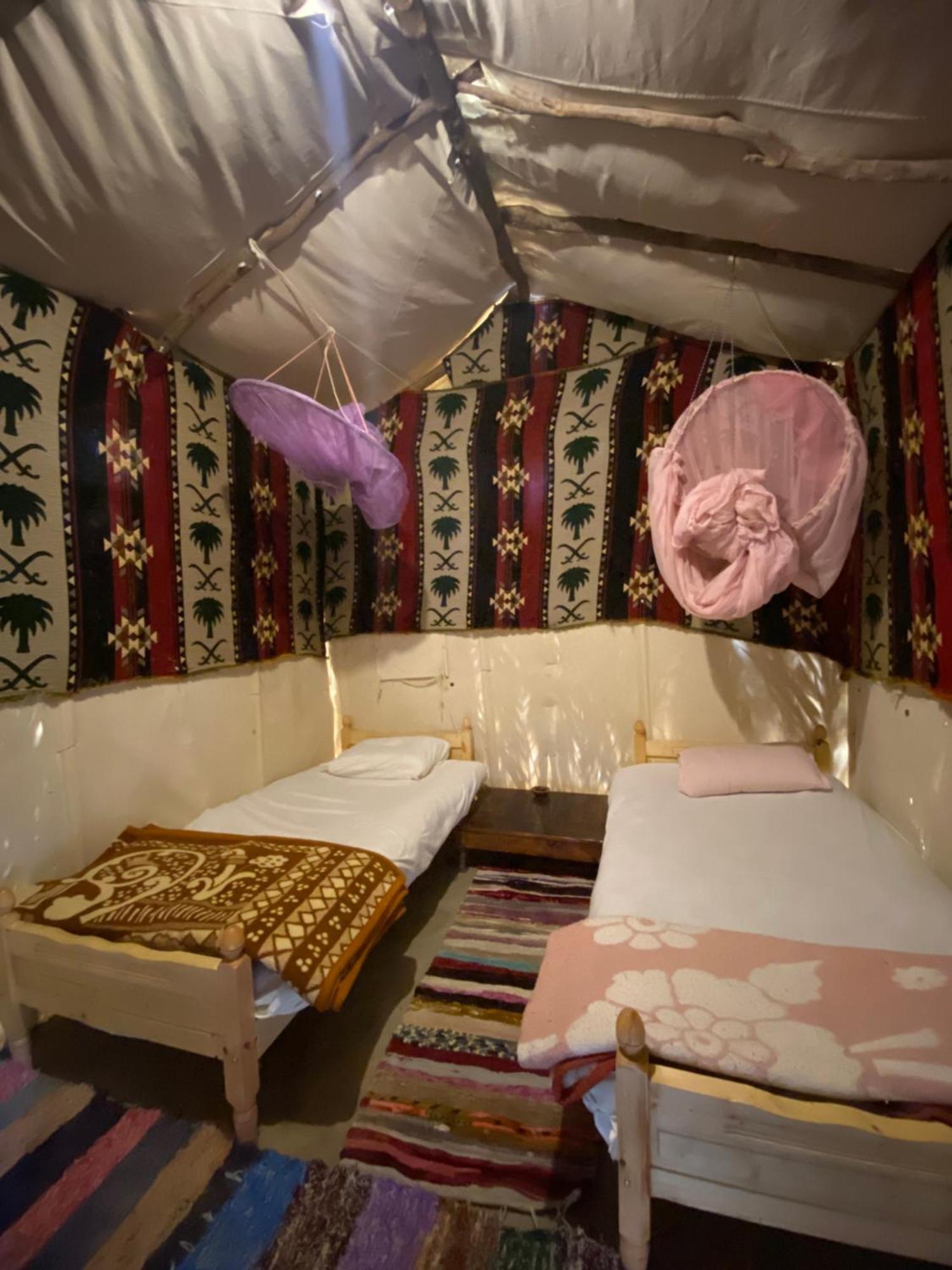 Forest Camp Siwa - كامب الغابة Siwa Oasis Eksteriør bilde