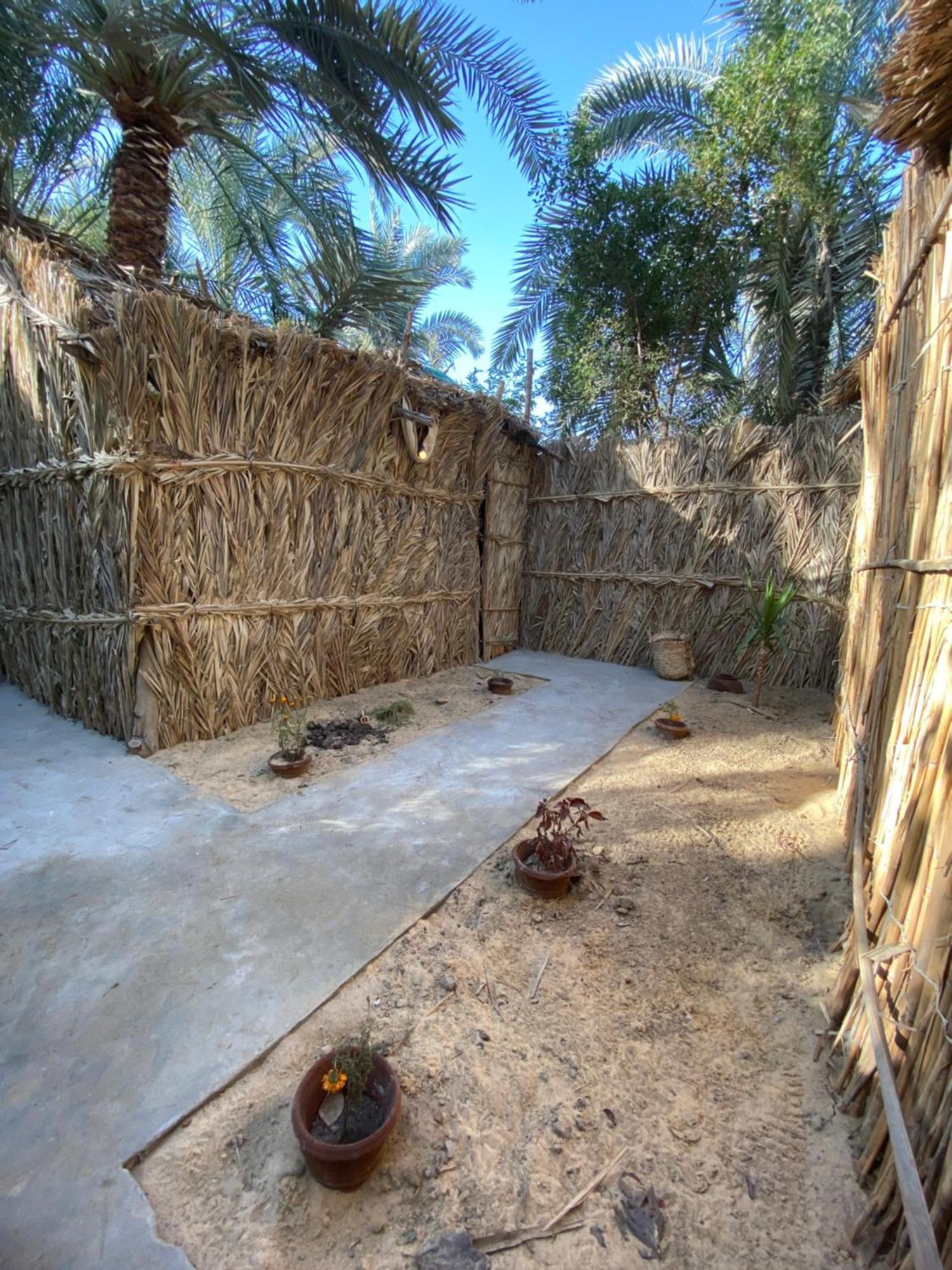 Forest Camp Siwa - كامب الغابة Siwa Oasis Eksteriør bilde