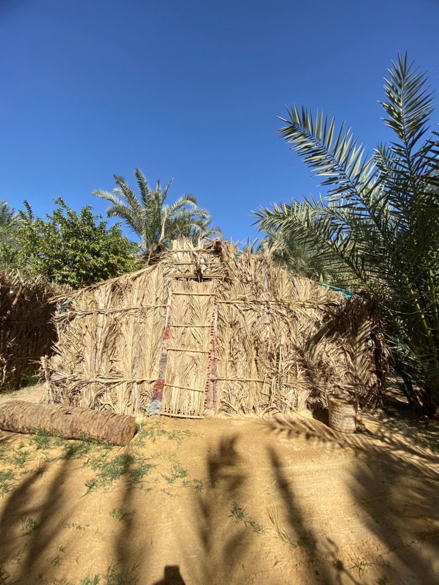 Forest Camp Siwa - كامب الغابة Siwa Oasis Eksteriør bilde