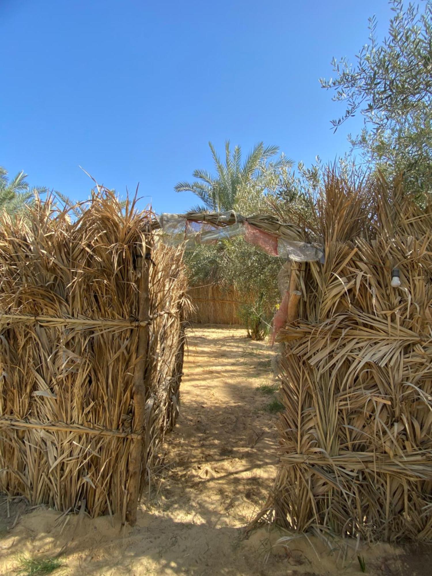 Forest Camp Siwa - كامب الغابة Siwa Oasis Eksteriør bilde