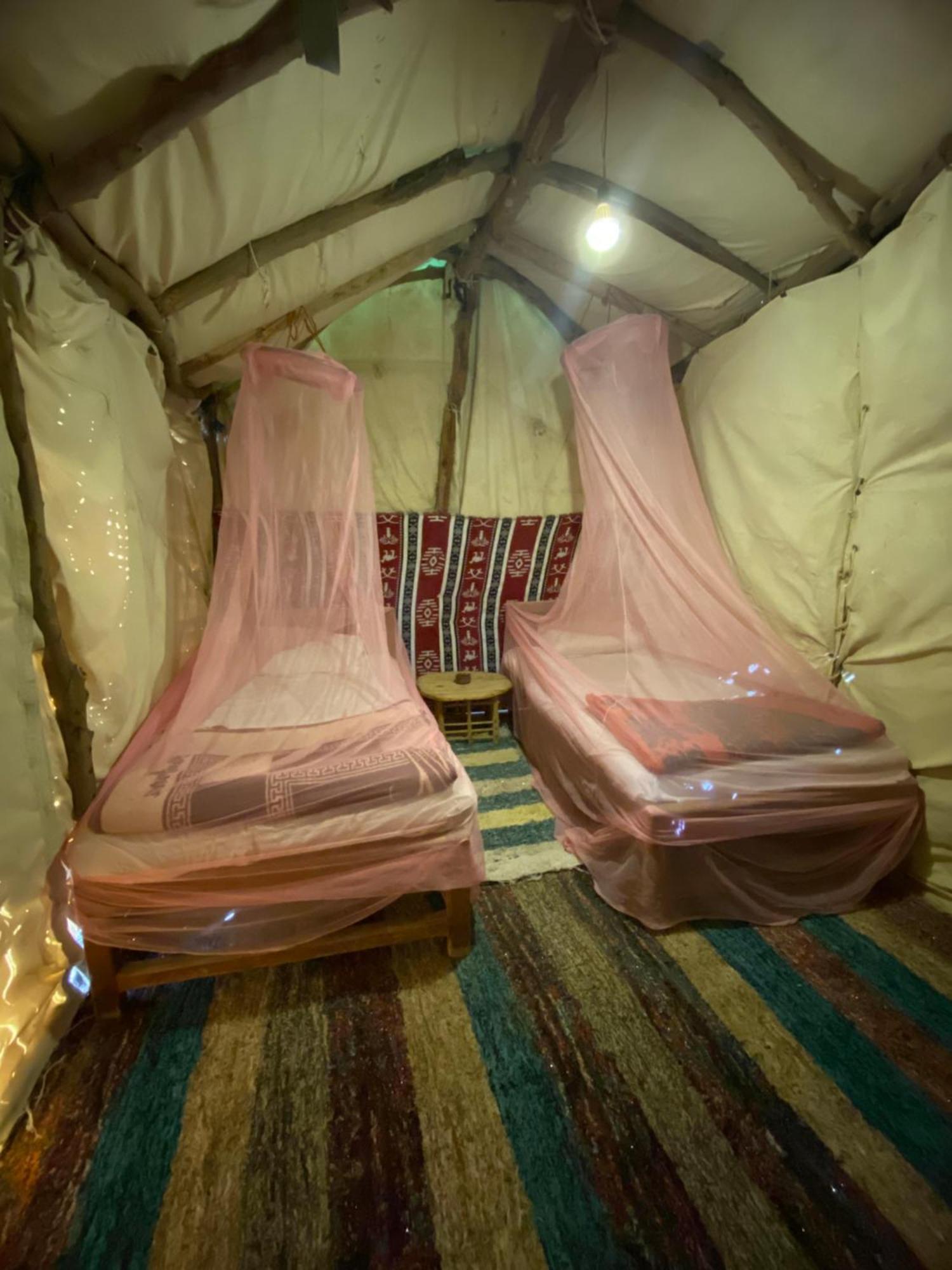 Forest Camp Siwa - كامب الغابة Siwa Oasis Eksteriør bilde