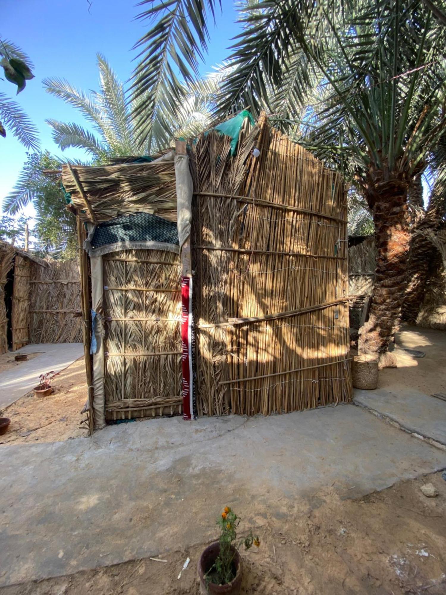 Forest Camp Siwa - كامب الغابة Siwa Oasis Eksteriør bilde